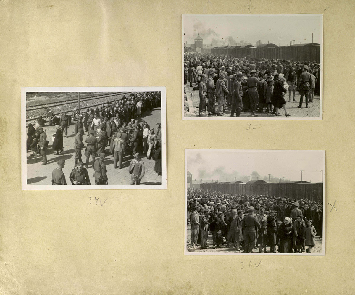 Juden werden auf dem Ankunftsbahnsteig in Birkenau, der als „Rampe“ bekannt ist, der Selektion unterzogen