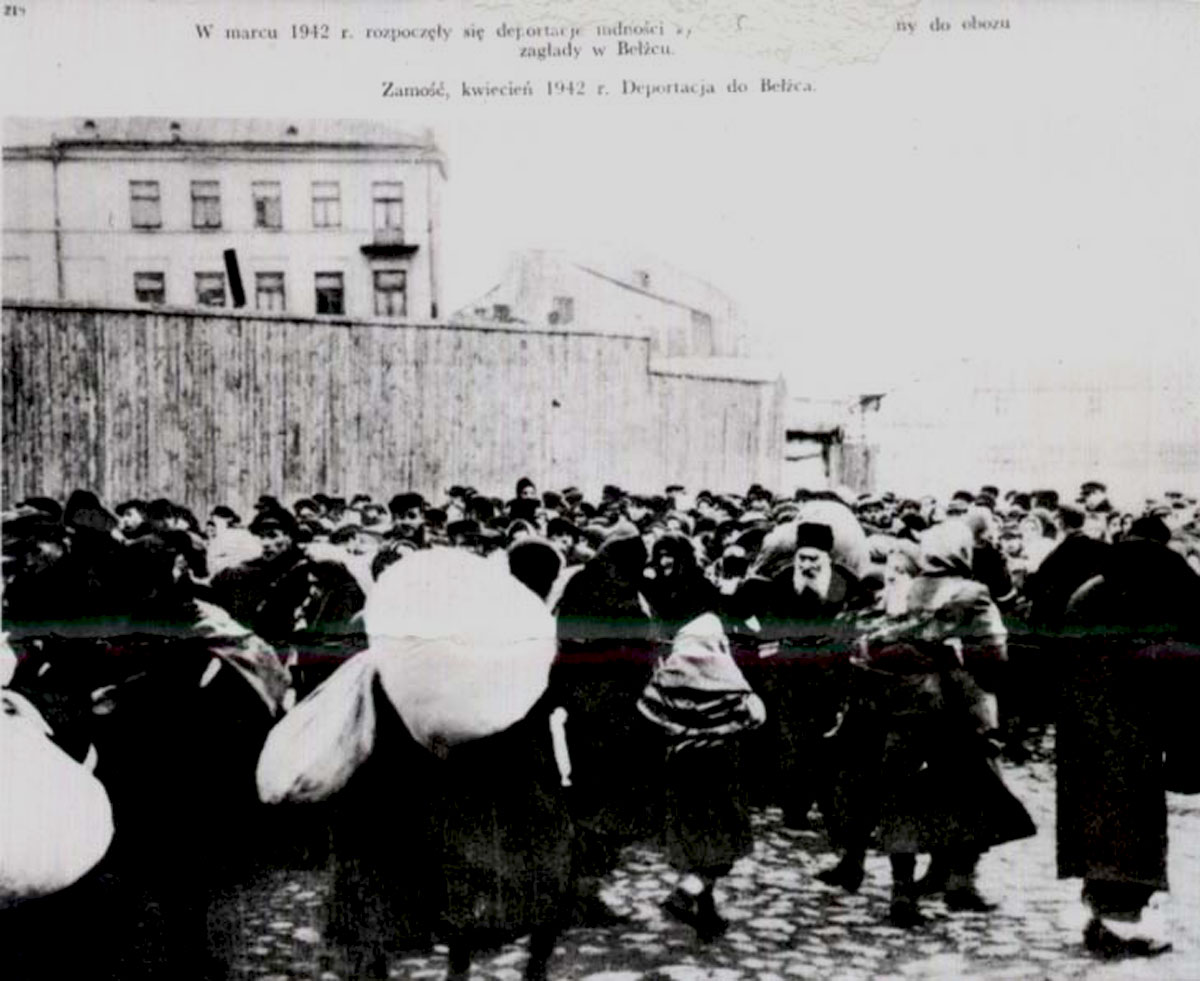 The Deportation of Jews from the Lodz Ghetto to KL Auschwitz ... by Andrzej Strzelecki
