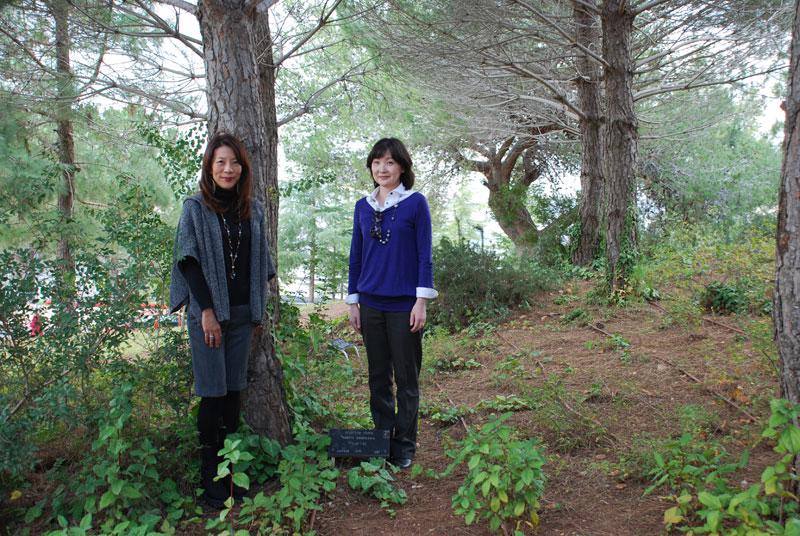 Madoka Nakamura (rechts) und Mari Sugihara (links) stehen bei dem Baum zu Ehren ihres Großvaters, des Gerechten unter den Völkern Chiune-Sempo Sugihara, Yad Vashem, 16. Dezember 2012