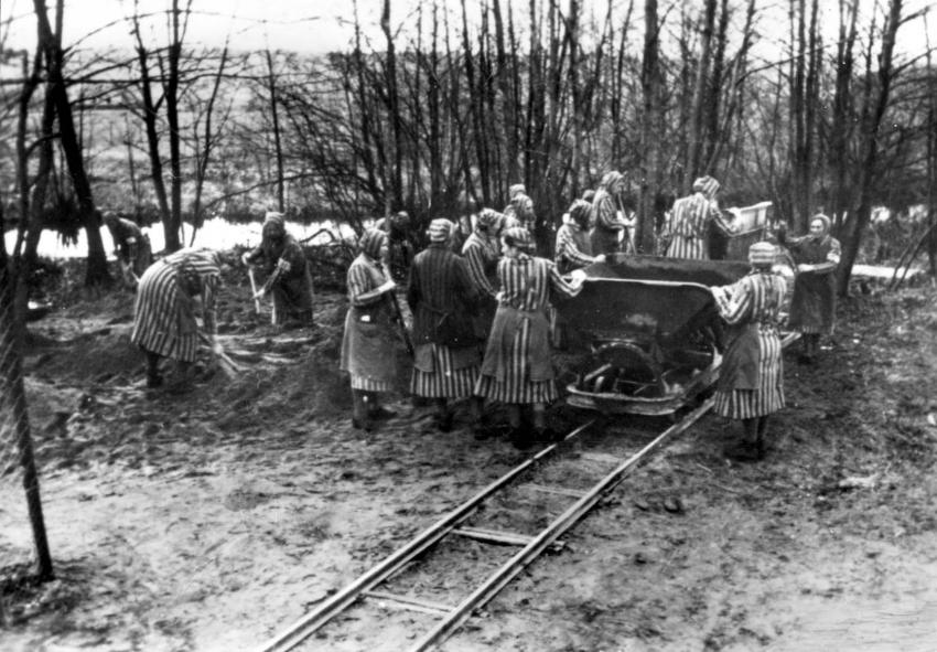 Die Arbeits- und Konzentrationslager
