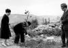 The planting of a tree in the Avenue of the Righteous Among the Nations, 1977