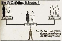 Faji táblázat egy náci propaganda füzetből